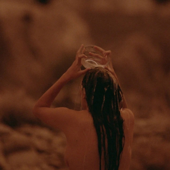 Twentynine Palms Cleansing Shampoo & Desert Tumbleweed Softening Conditioner Set - Picture 7 of 10